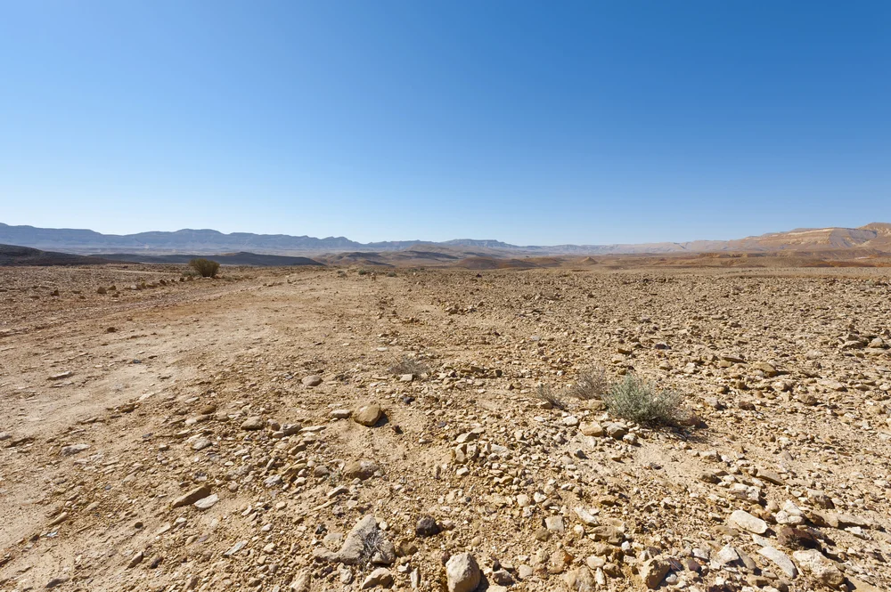 משרד הבריאות מפרסם הנחיות: עומס חום כבד ברחבי הארץ – הציבור נקרא להישמר משרד הבריאות מפרסם הנחיות: עומס חום כבד ברחבי הארץ – הציבור נקרא להישמר