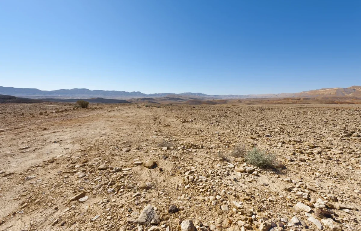 משרד הבריאות מפרסם הנחיות: עומס חום כבד ברחבי הארץ – הציבור נקרא להישמר משרד הבריאות מפרסם הנחיות: עומס חום כבד ברחבי הארץ – הציבור נקרא להישמר