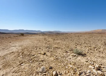 משרד הבריאות מפרסם הנחיות: עומס חום כבד ברחבי הארץ – הציבור נקרא להישמר משרד הבריאות מפרסם הנחיות: עומס חום כבד ברחבי הארץ – הציבור נקרא להישמר