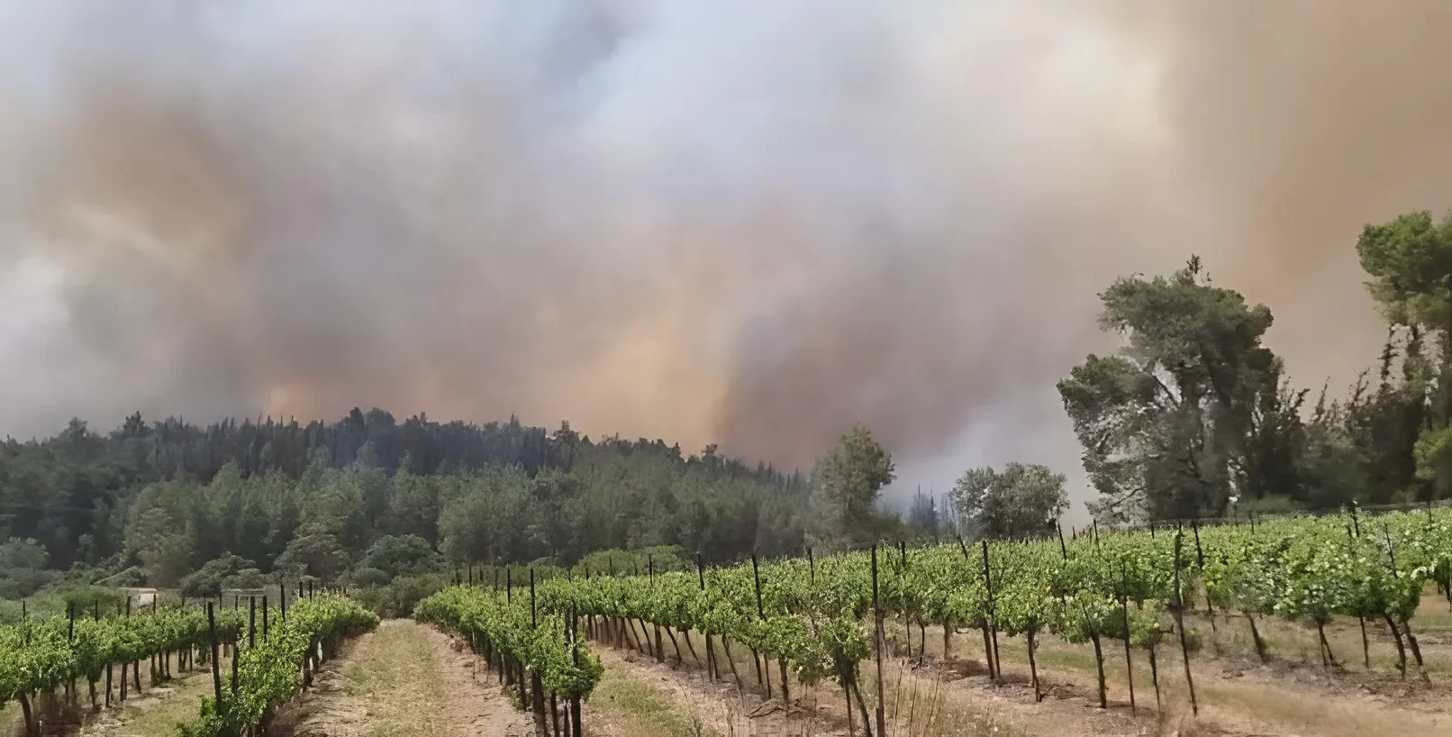 שריפה בגזרת מטה יהודה: טקס יום הזיכרון בלטרון פונה, כבישים 1 ו־3 צפויים להיסגר