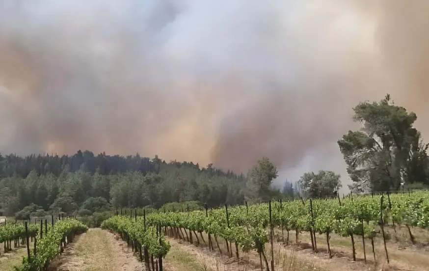 שריפה בגזרת מטה יהודה: טקס יום הזיכרון בלטרון פונה, כבישים 1 ו־3 צפויים להיסגר שריפה בגזרת מטה יהודה: טקס יום הזיכרון בלטרון פונה, כבישים 1 ו־3 צפויים להיסגר