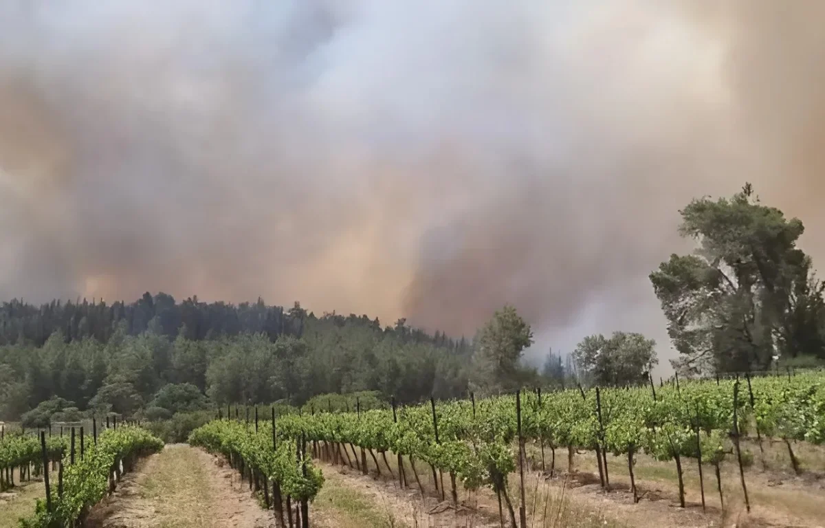 שריפה בגזרת מטה יהודה: טקס יום הזיכרון בלטרון פונה, כבישים 1 ו־3 צפויים להיסגר