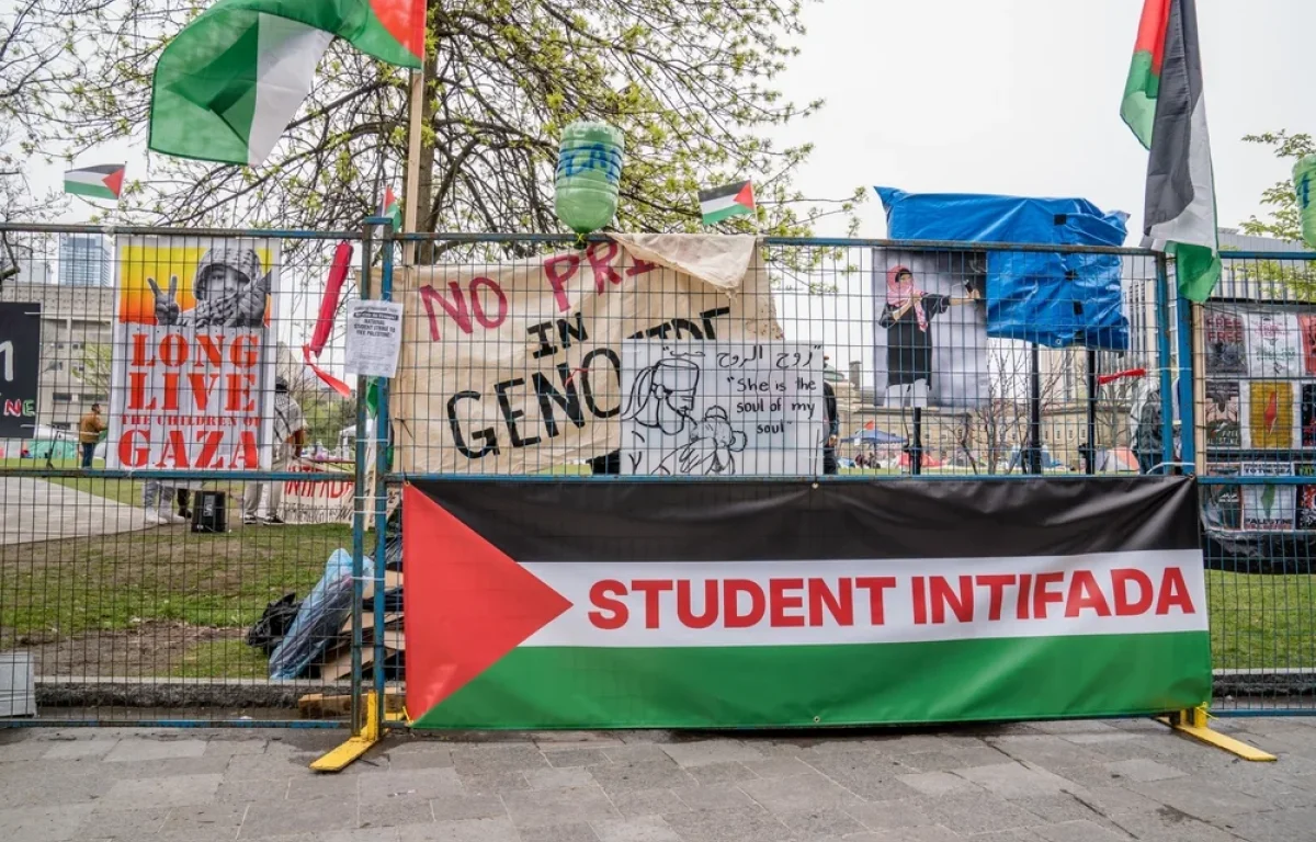  דו"ח הרווארד נחשף &ndash; ופתאום הכול ברור: זו לא טעות, זו שיטה