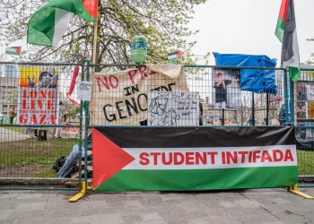  דו"ח הרווארד נחשף &ndash; ופתאום הכול ברור: זו לא טעות, זו שיטה