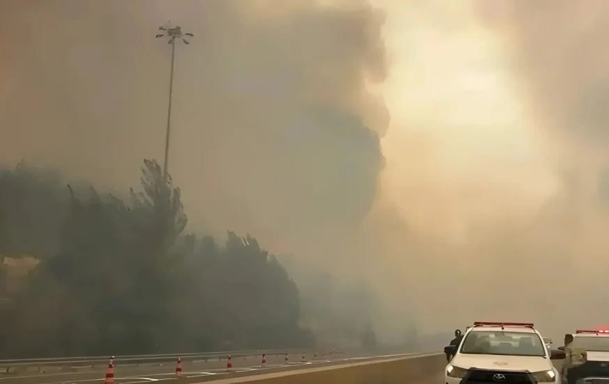 האש מתפשטת בהרי ירושלים: נהגים נמלטו מכלי הרכב, תשעה בני אדם חולצו האש מתפשטת בהרי ירושלים: נהגים נמלטו מכלי הרכב, תשעה בני אדם חולצו