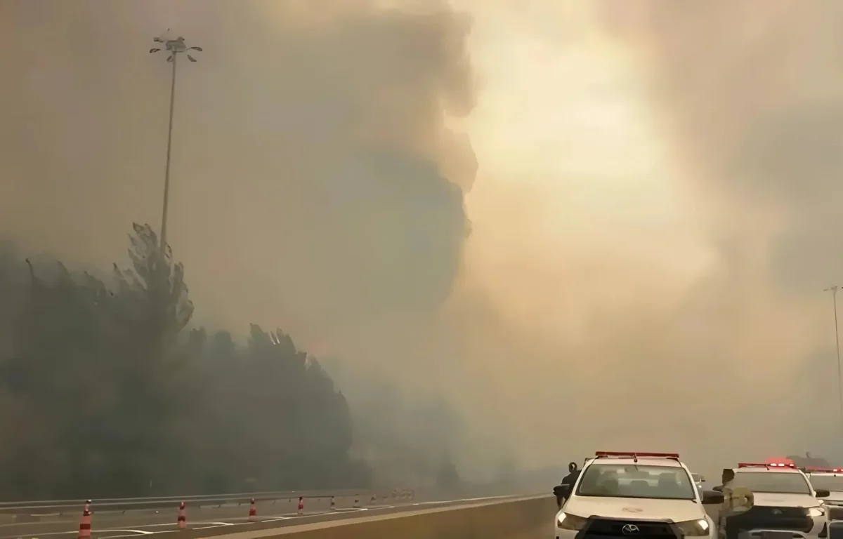 האש מתפשטת בהרי ירושלים: נהגים נמלטו מכלי הרכב, תשעה בני אדם חולצו