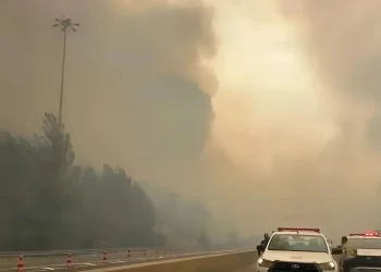 האש מתפשטת בהרי ירושלים: נהגים נמלטו מכלי הרכב, תשעה בני אדם חולצו