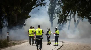 שריפות גם בצפון הארץ: כוחות כיבוי גדולים בגבעת עוז, בית שאן ועפולה
