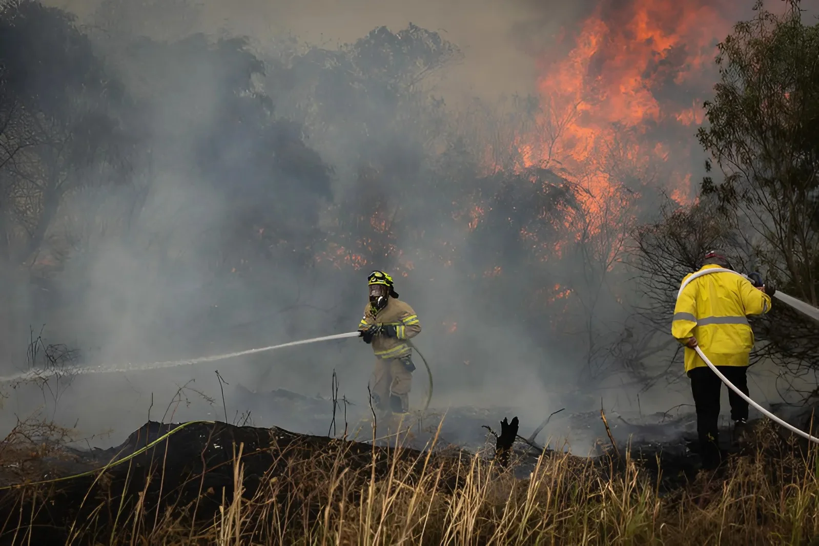 השריפות משתוללות גם בדרום: חשש מהתפשטות האש בחבל לכיש