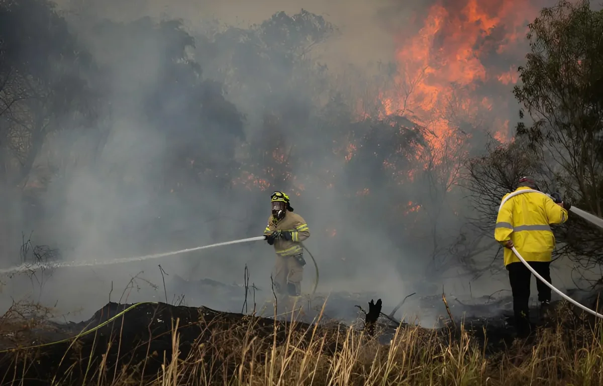 השריפות משתוללות גם בדרום: חשש מהתפשטות האש בחבל לכיש