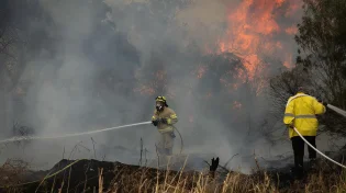 שריפות גם בדרום: חשש מהתפשטות האש בחבל לכיש