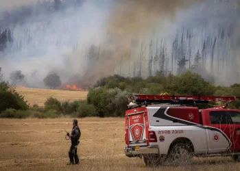 ארגון "אחים לנשק" הקים מערך חירום לסיוע למפוני השריפות בהרי ירושלים