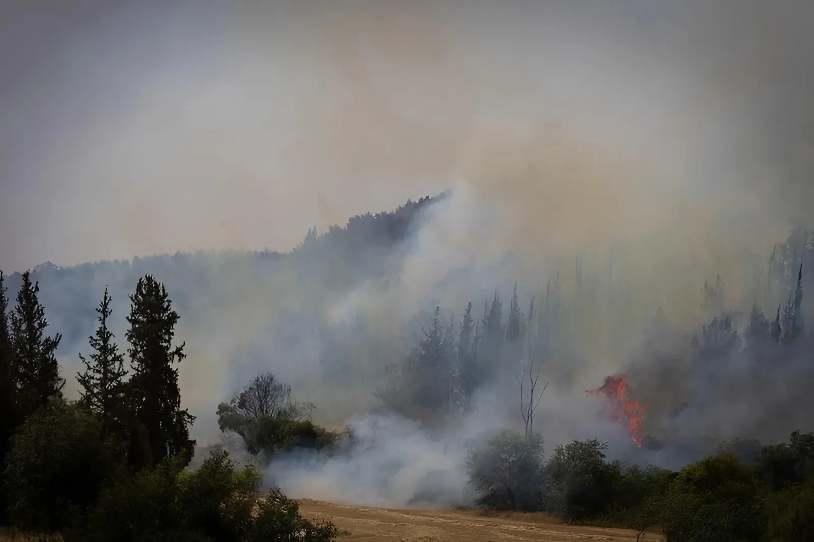 גל השריפות ברחבי הארץ: כך תנהגו נכון בשטח עד להגעת עזרה