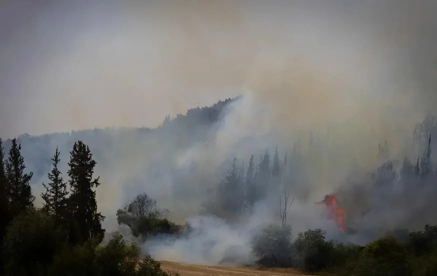 גל השריפות ברחבי הארץ: כך תנהגו נכון בשטח עד להגעת עזרה גל השריפות ברחבי הארץ: כך תנהגו נכון בשטח עד להגעת עזרה