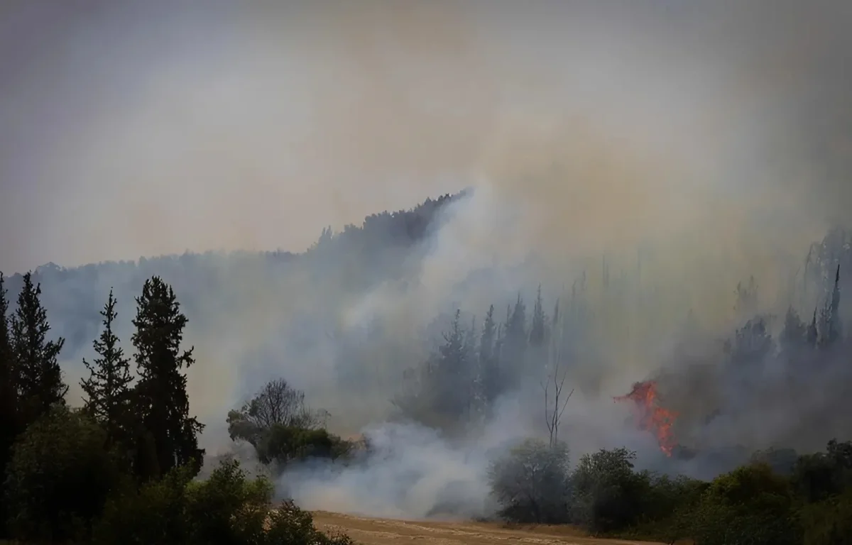 גל השריפות ברחבי הארץ: כך תנהגו נכון בשטח עד להגעת עזרה