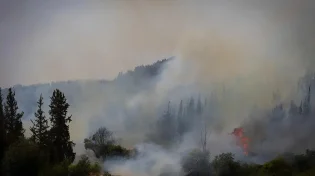 גל השריפות ברחבי הארץ: כך תנהגו נכון בשטח עד להגעת עזרה