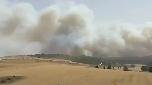 אש בשמים, דמעות בלב: עצמאות בצל שריפות, שבי וכאב לאומי