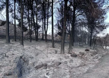 הודעת חירום: סוגרים את היערות &ndash; סכנה מיידית לציבור המטיילים