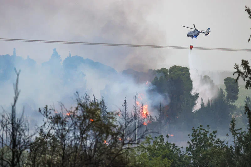 הטבע נכנע ללהבות: 20,000 דונם נשרפו – והחורף עוד רחוק הטבע נכנע ללהבות: 20,000 דונם נשרפו – והחורף עוד רחוק