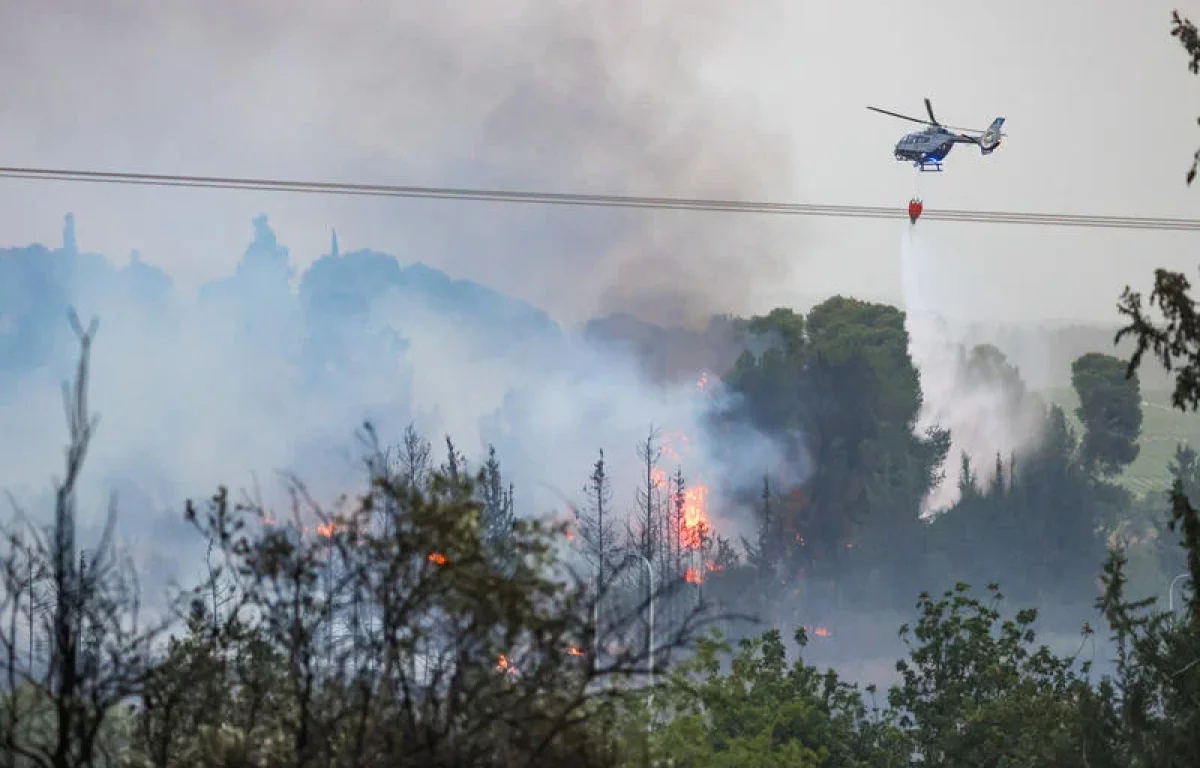  הטבע נכנע ללהבות: 20,000 דונם נשרפו &ndash; והחורף עוד רחוק