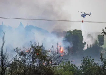  הטבע נכנע ללהבות: 20,000 דונם נשרפו &ndash; והחורף עוד רחוק
