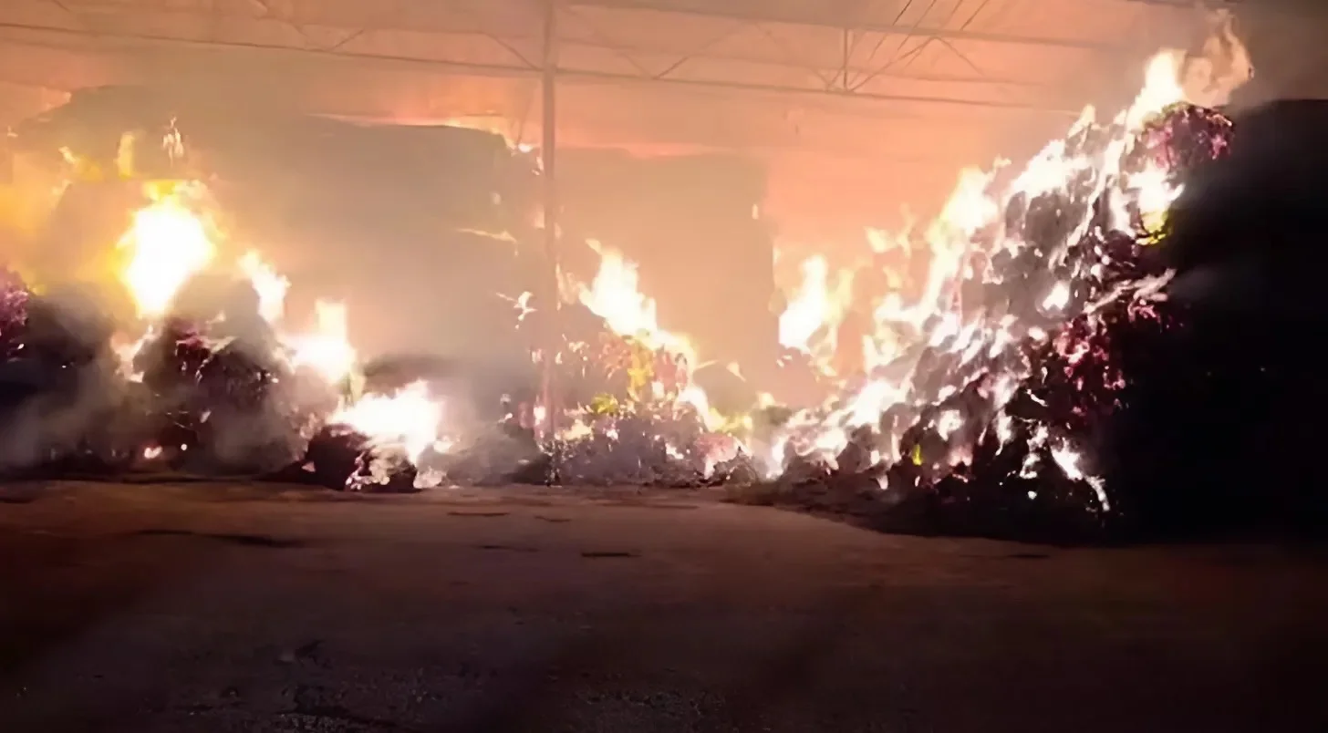 חשד להצתות בצפון: חקלאים בגליל התחתון סופגים נזקים כבדים משריפות ליליות חשד להצתות בצפון: חקלאים בגליל התחתון סופגים נזקים כבדים משריפות ליליות