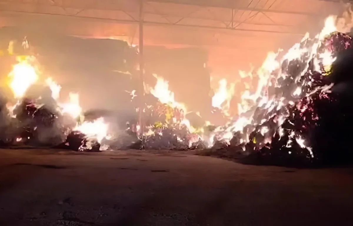 חשד להצתות בצפון: חקלאים בגליל התחתון סופגים נזקים כבדים משריפות ליליות