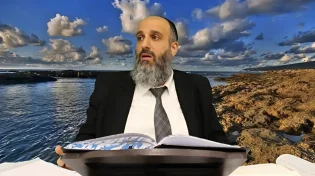 איזה כשרויות כדאי לאכול ואיזה לא? - איסור אכילת המזון
