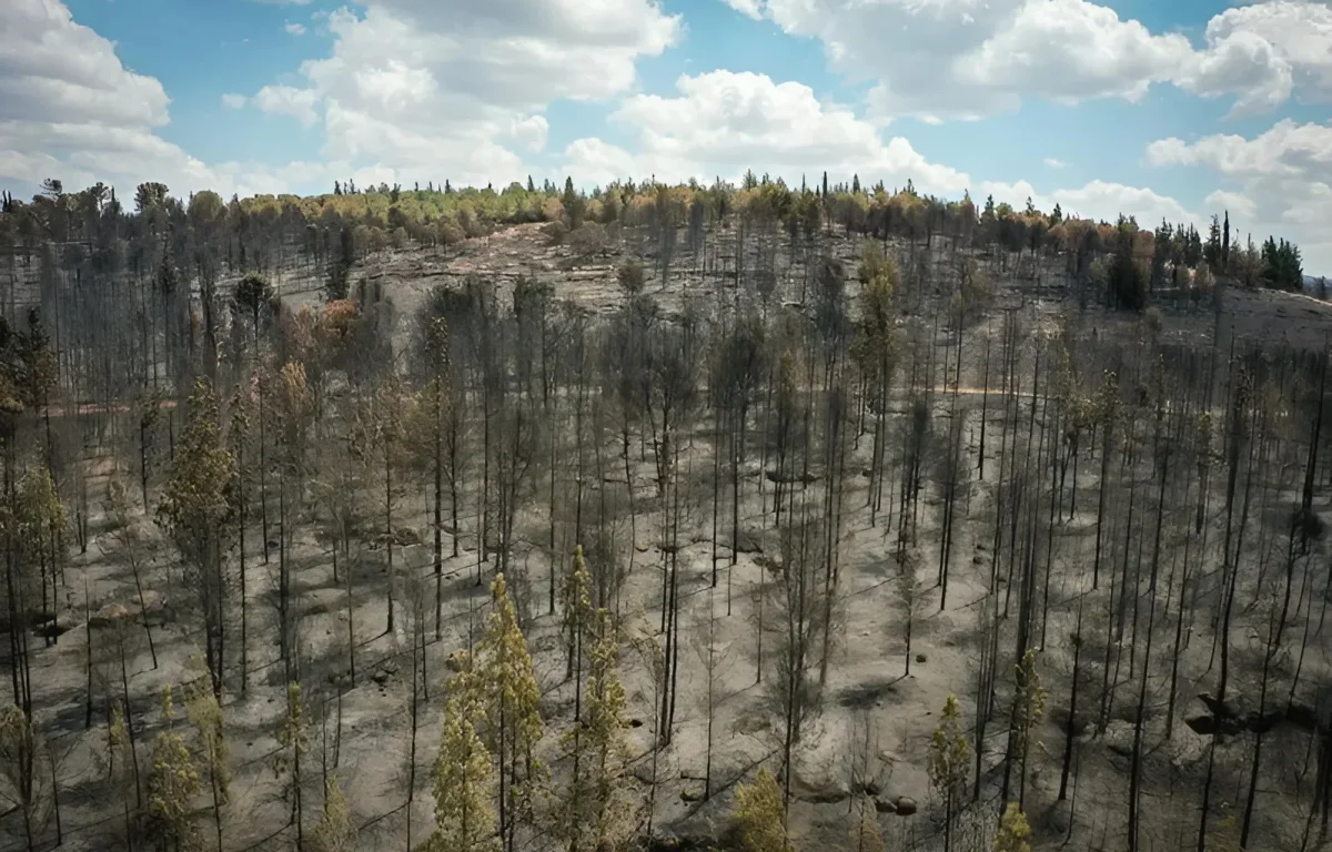 הוארך מעצרו של צעיר מירושלים שנחשד בהצתה על רקע לאומני באזור מודיעין