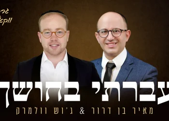 ווקאלי: מאיר בן דרור וג'וש וולמרק - "עברתי בחושך"