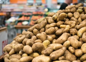 "תפוחי השטן" חוזרים לככב &ndash; והפעם בגלל בעיה חמורה בכשרות