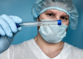  סוף סוף פתרון: כך תדעו ממה באמת נוצרה האבן בכליה