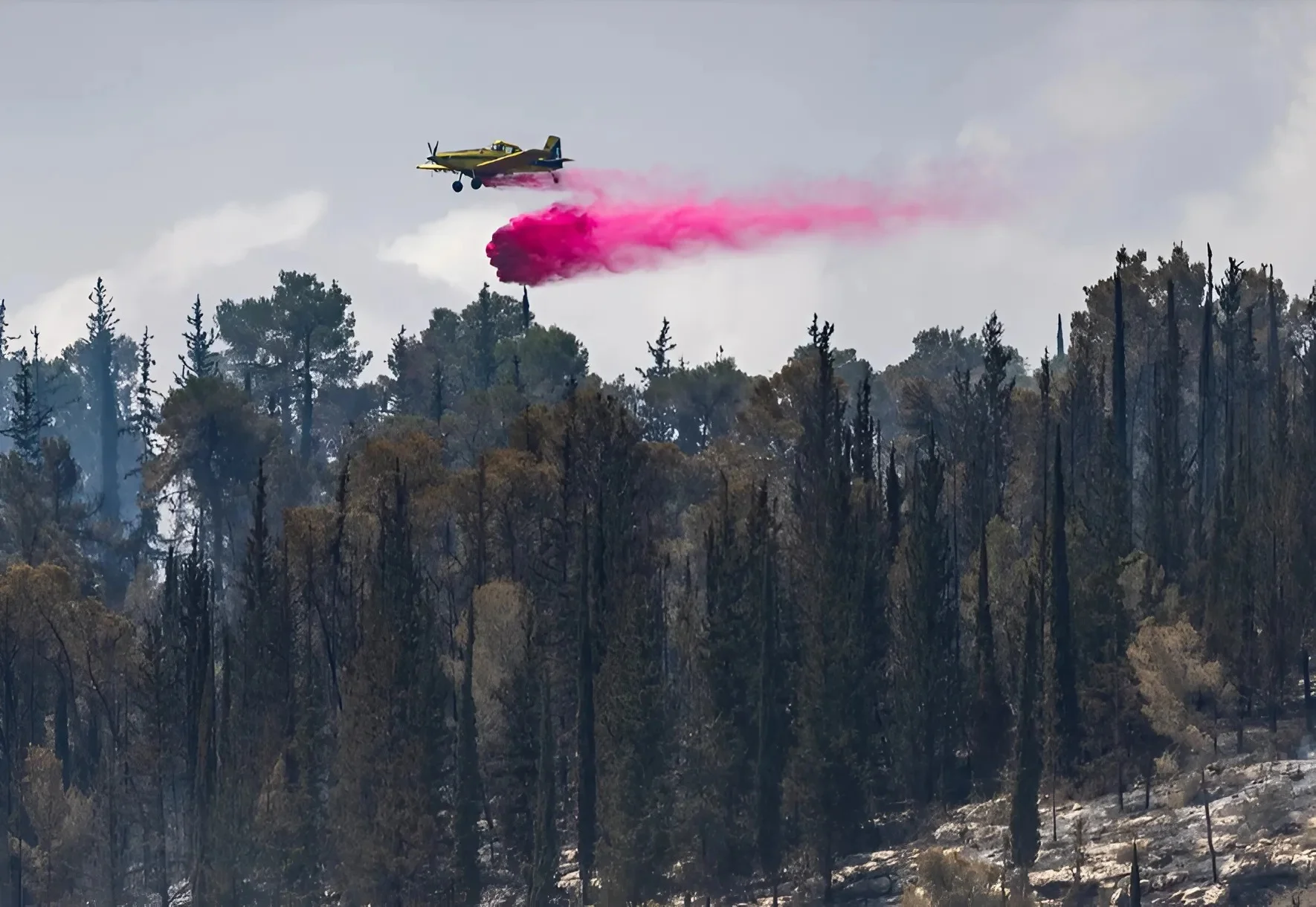 בצל טרור ההצתות: מבצע אזרחי לחלוקת ציוד כיבוי ביהודה ושומרון בצל טרור ההצתות: מבצע אזרחי לחלוקת ציוד כיבוי ביהודה ושומרון