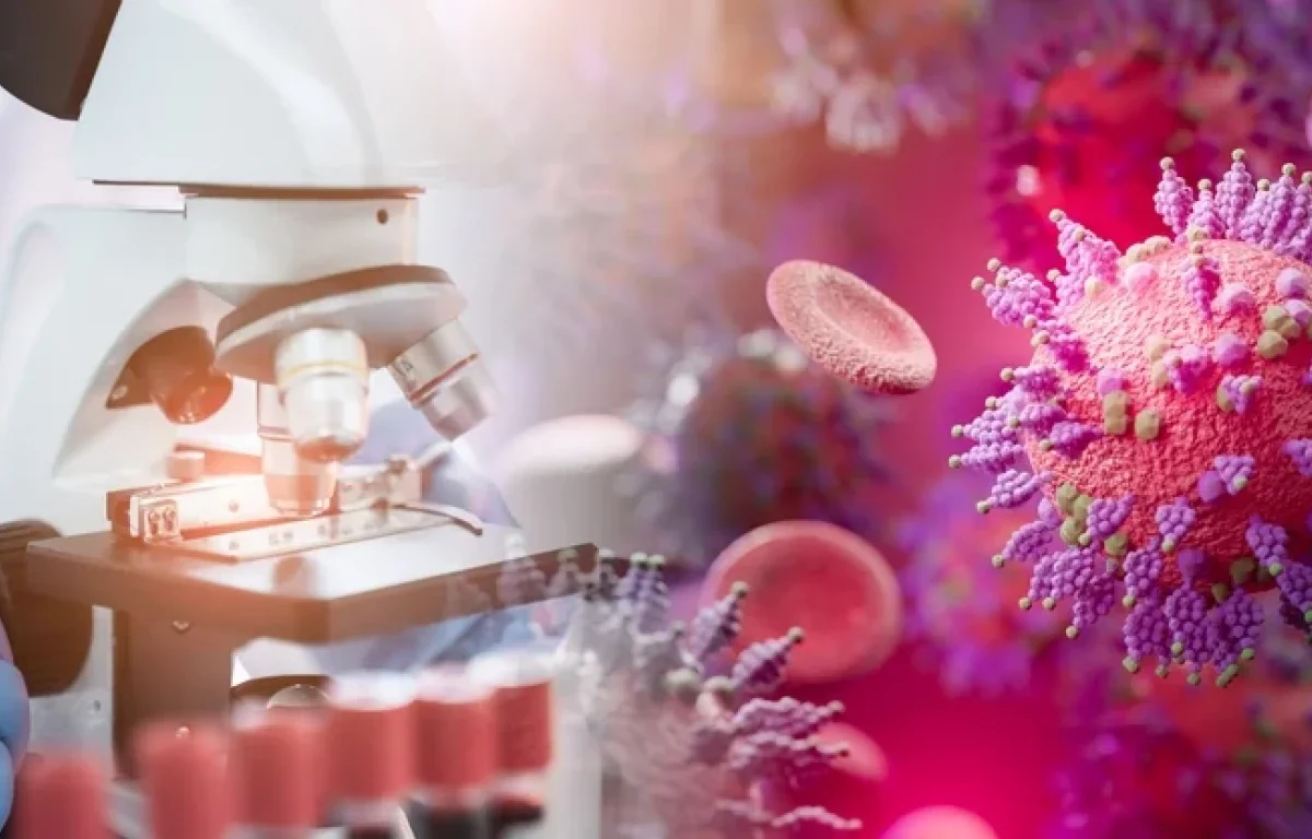 הגעתם לטיפול – ויצאתם עם חיידק עמיד: זה קורה הרבה יותר ממה שחשבתם הגעתם לטיפול – ויצאתם עם חיידק עמיד: זה קורה הרבה יותר ממה שחשבתם