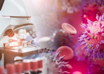 הגעתם לטיפול – ויצאתם עם חיידק עמיד: זה קורה הרבה יותר ממה שחשבתם הגעתם לטיפול – ויצאתם עם חיידק עמיד: זה קורה הרבה יותר ממה שחשבתם