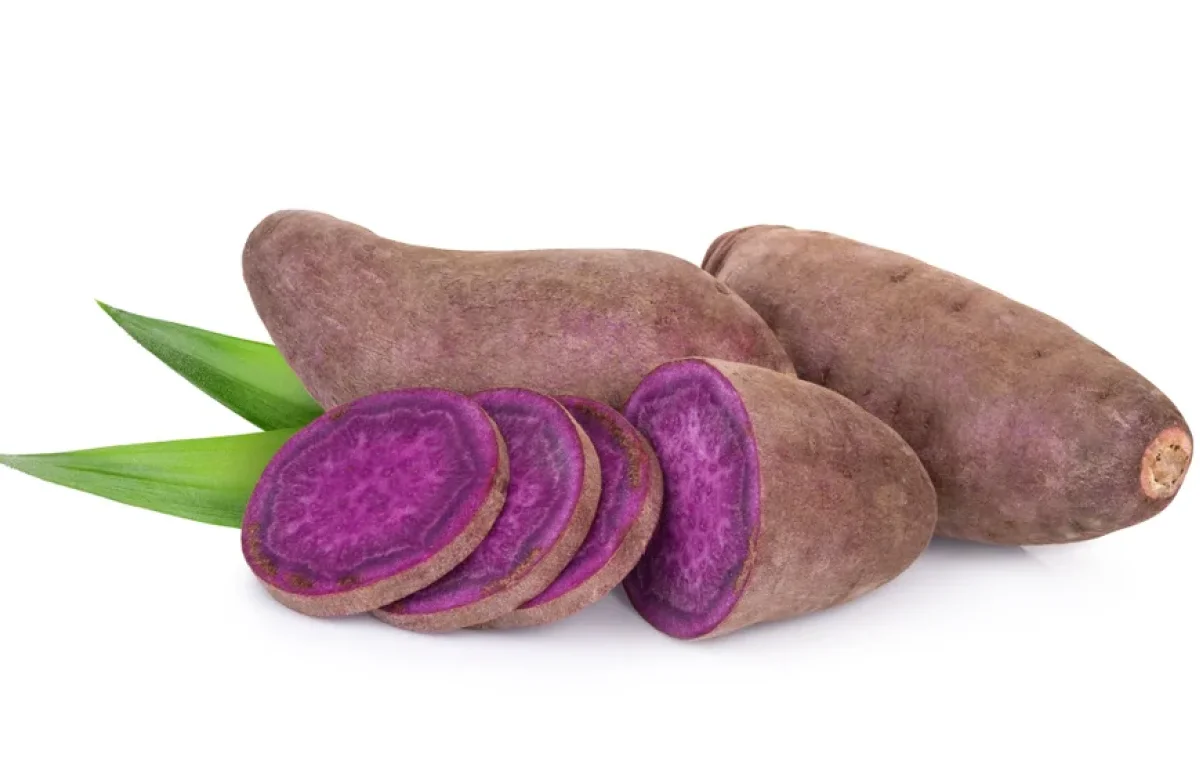 סגול זה לא רק צבע – זה גם סופרפוד: הכירו את הבטטה שעושה מהפכה בצלחת סגול זה לא רק צבע – זה גם סופרפוד: הכירו את הבטטה שעושה מהפכה בצלחת