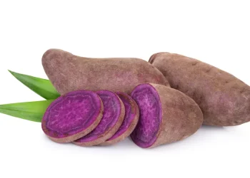 סגול זה לא רק צבע – זה גם סופרפוד: הכירו את הבטטה שעושה מהפכה בצלחת סגול זה לא רק צבע – זה גם סופרפוד: הכירו את הבטטה שעושה מהפכה בצלחת