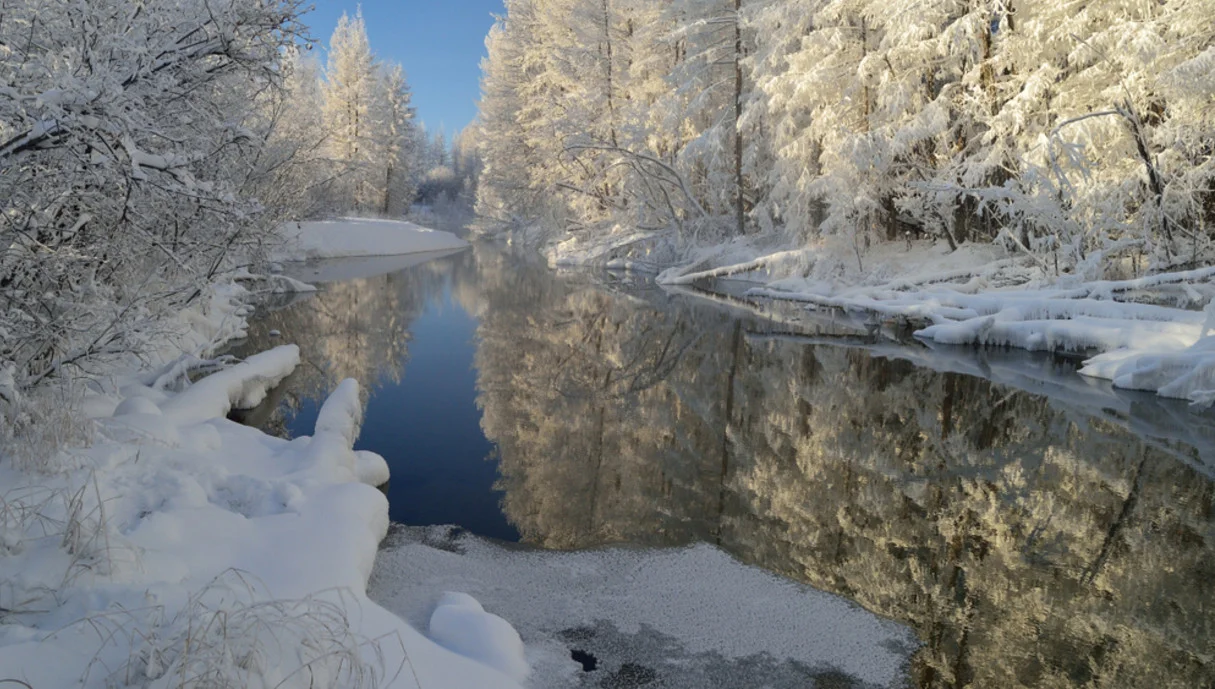 שורדים את הבלתי אפשרי: החיים במקום שבו החורף לא נגמר