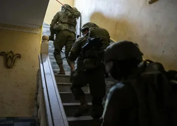 ירידה חדה בפיגועים ביהודה ושומרון: סיכול כלכלי ומלחמה בהסתה משנים את הזירה