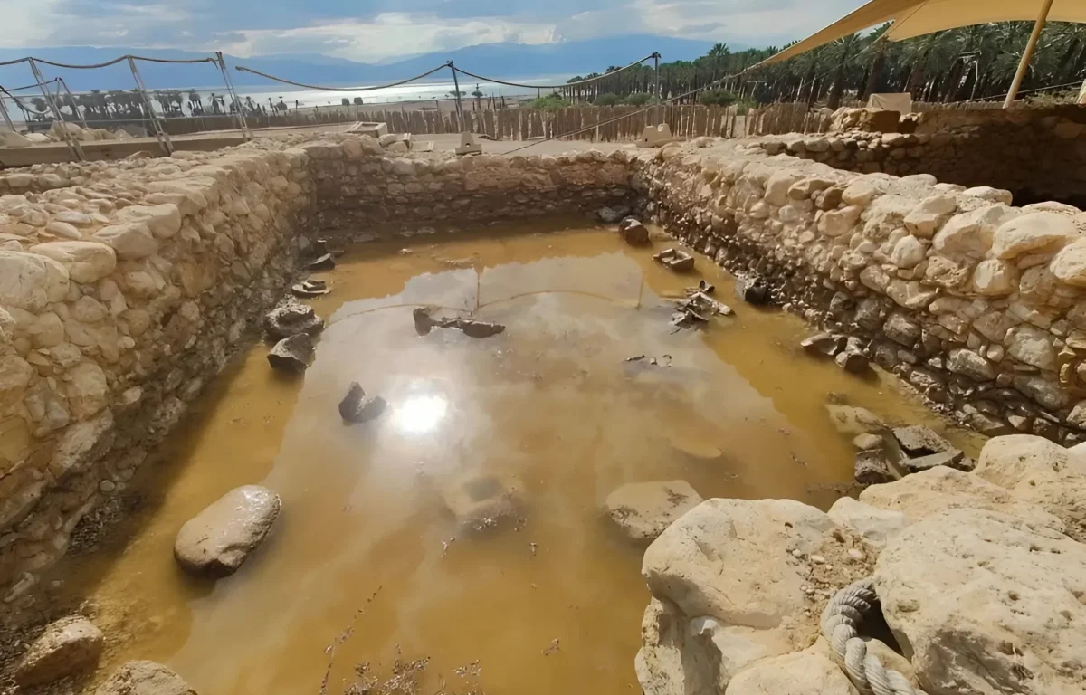 "אסון אקולוגי מקומי": כך נראה הנזק הכבד לעין גדי אחרי השיטפון