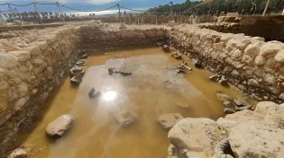 "אסון אקולוגי מקומי": כך נראה הנזק הכבד לעין גדי אחרי השיטפון