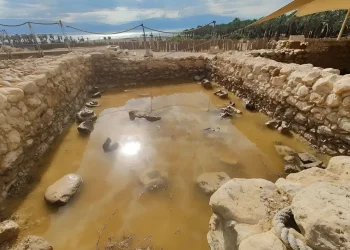 "אסון אקולוגי מקומי": כך נראה הנזק הכבד לעין גדי אחרי השיטפון