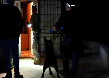 סוכן סמוי חשף רשת סחר בנשק: בין החשודים &ndash; עובדי בית חולים בירושלים