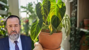 הרב בן אסולין: כך תהפכו שיחה קשה להזדמנות לצמיחה זוגית