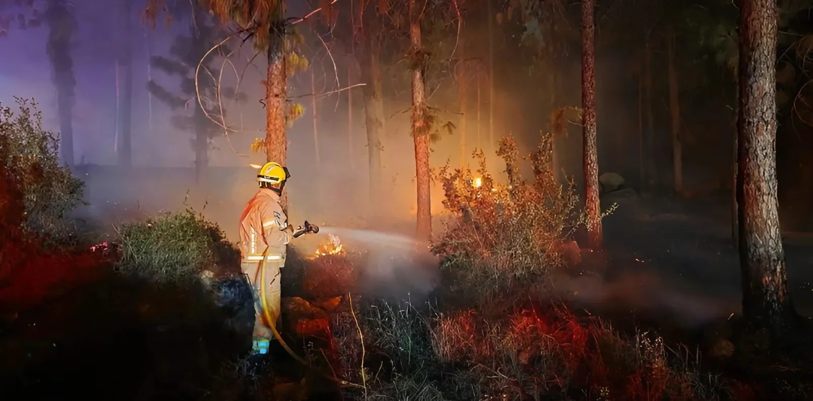 צו איסור גורף על הדלקת מדורות בל"ג בעומר: סכנת שריפות חמורה