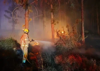 צו איסור גורף על הדלקת מדורות בל"ג בעומר: סכנת שריפות חמורה