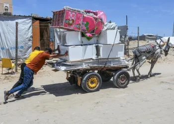 חזון טראמפ יתגשם? חצי מתושבי עזה מוכנים לעזוב את הרצועה