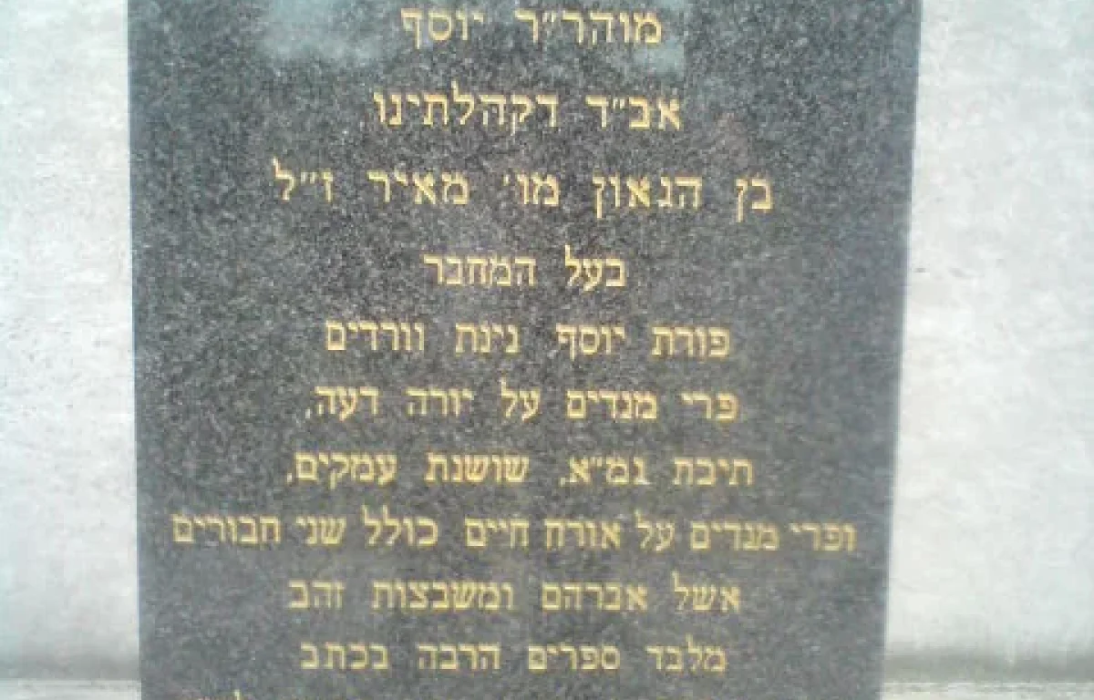 "עילוי של דורות": מסעו ופסיקתו של בעל ה"פרי מגדים"