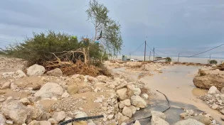 "המים שטפו הכול": שמורת עין גדי נחרבה בשיטפון חסר תקדים
