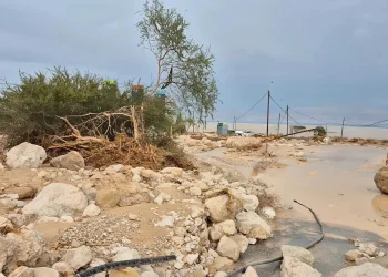 "המים שטפו הכול": שמורת עין גדי נחרבה בשיטפון חסר תקדים
